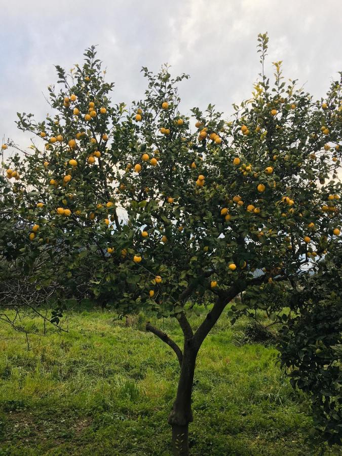 Wabi Sabi Διαμέρισμα Καταστάρι Εξωτερικό φωτογραφία