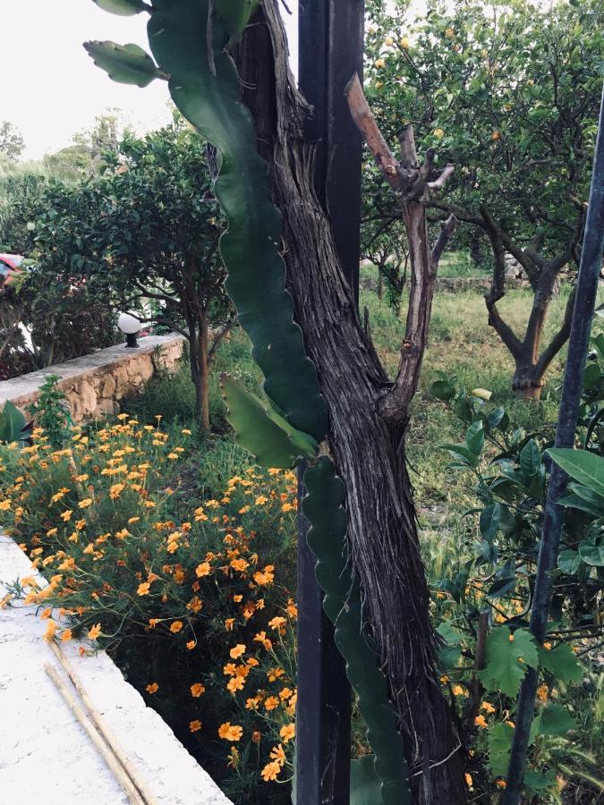 Wabi Sabi Διαμέρισμα Καταστάρι Εξωτερικό φωτογραφία