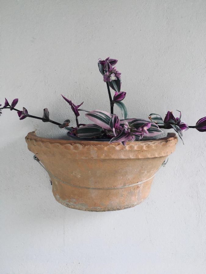 Wabi Sabi Διαμέρισμα Καταστάρι Εξωτερικό φωτογραφία