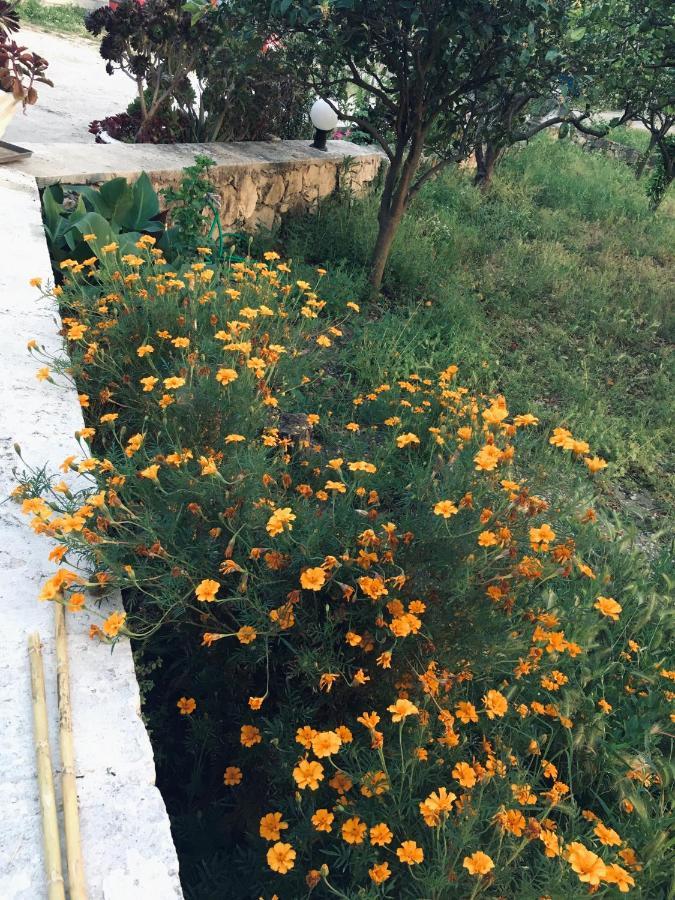 Wabi Sabi Διαμέρισμα Καταστάρι Εξωτερικό φωτογραφία
